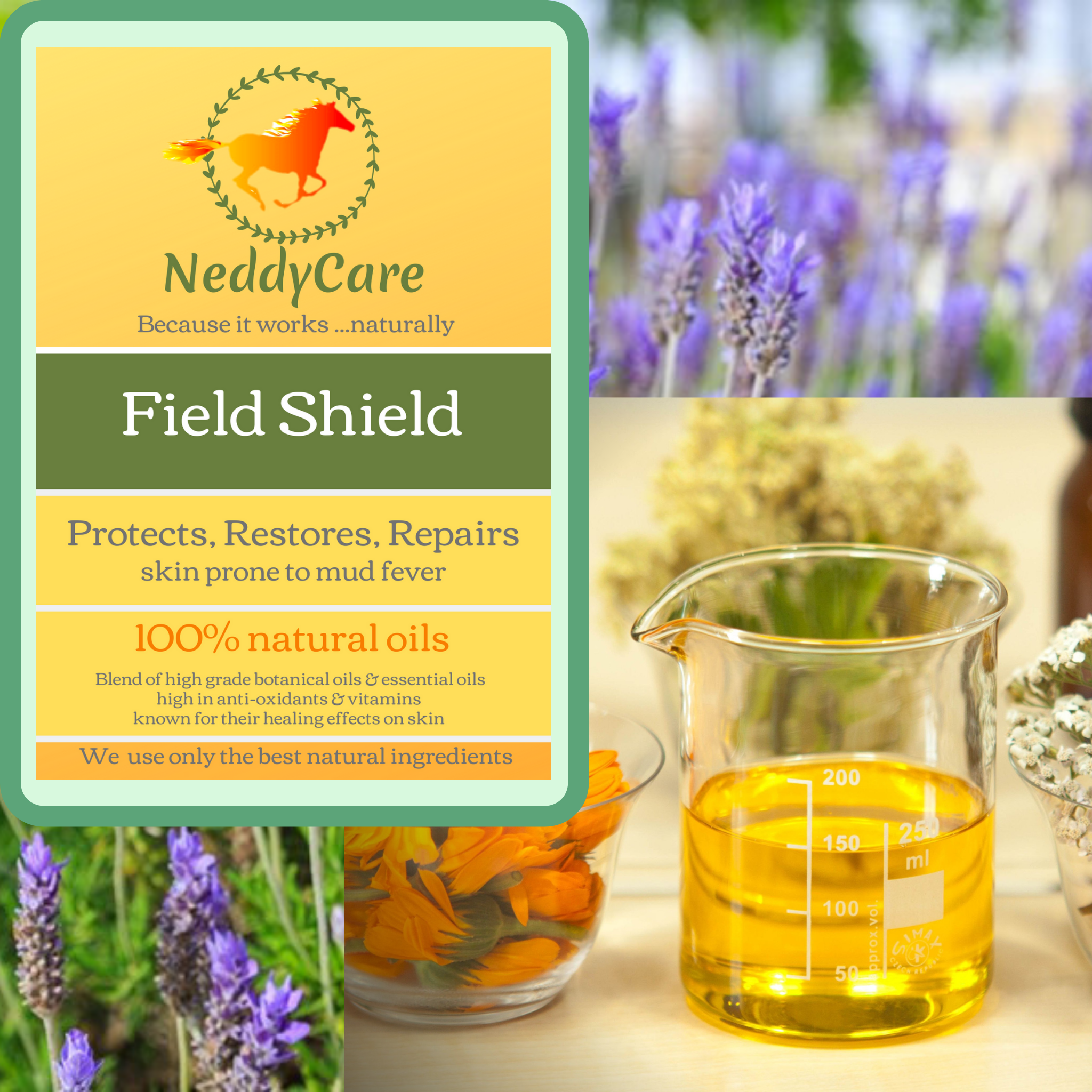 Field Shield – NeddyCare